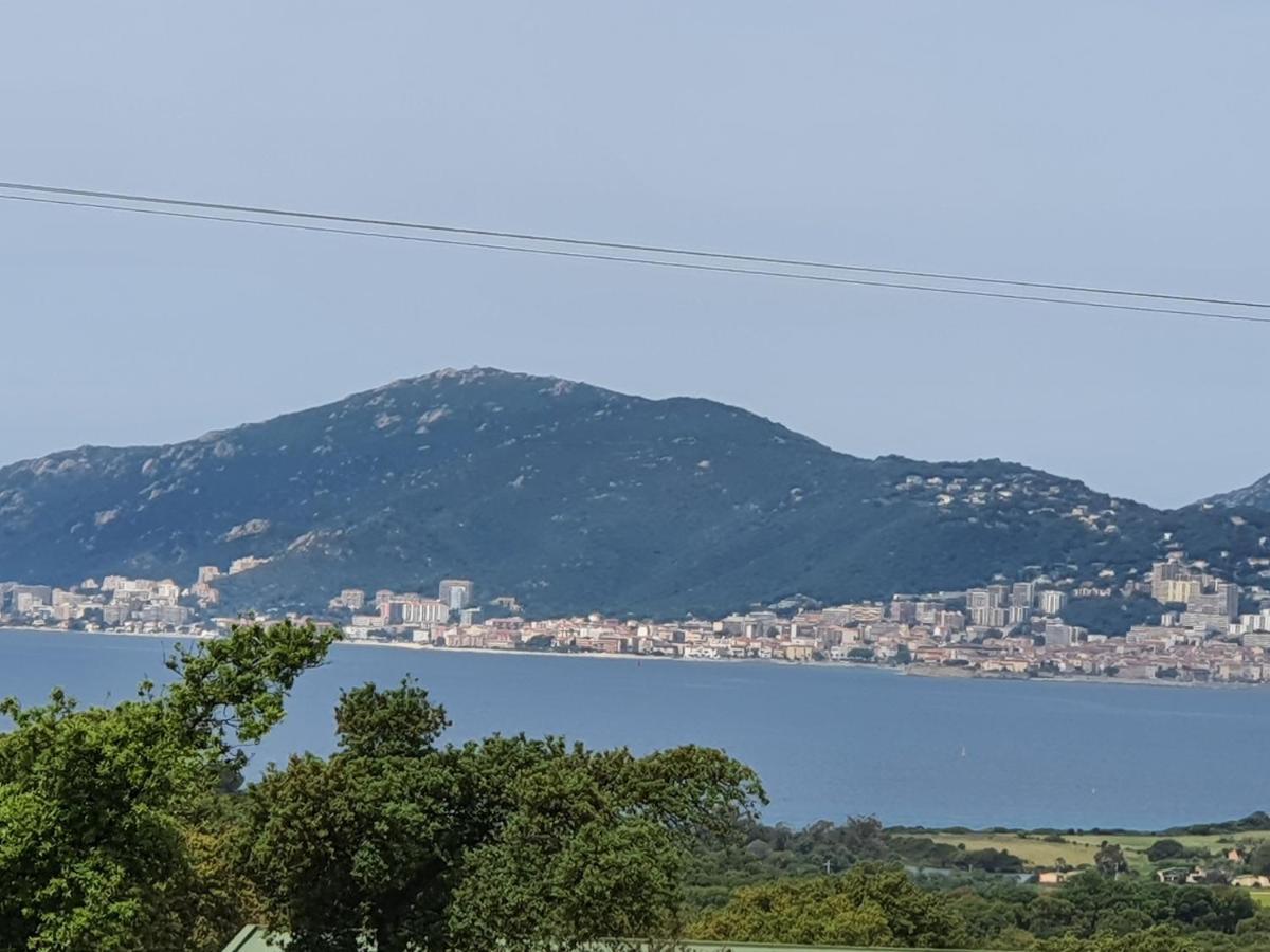 Appartement F2 Avec Terrasse De 35 M2 Bomorto - Porticcio Porticcio  Bagian luar foto