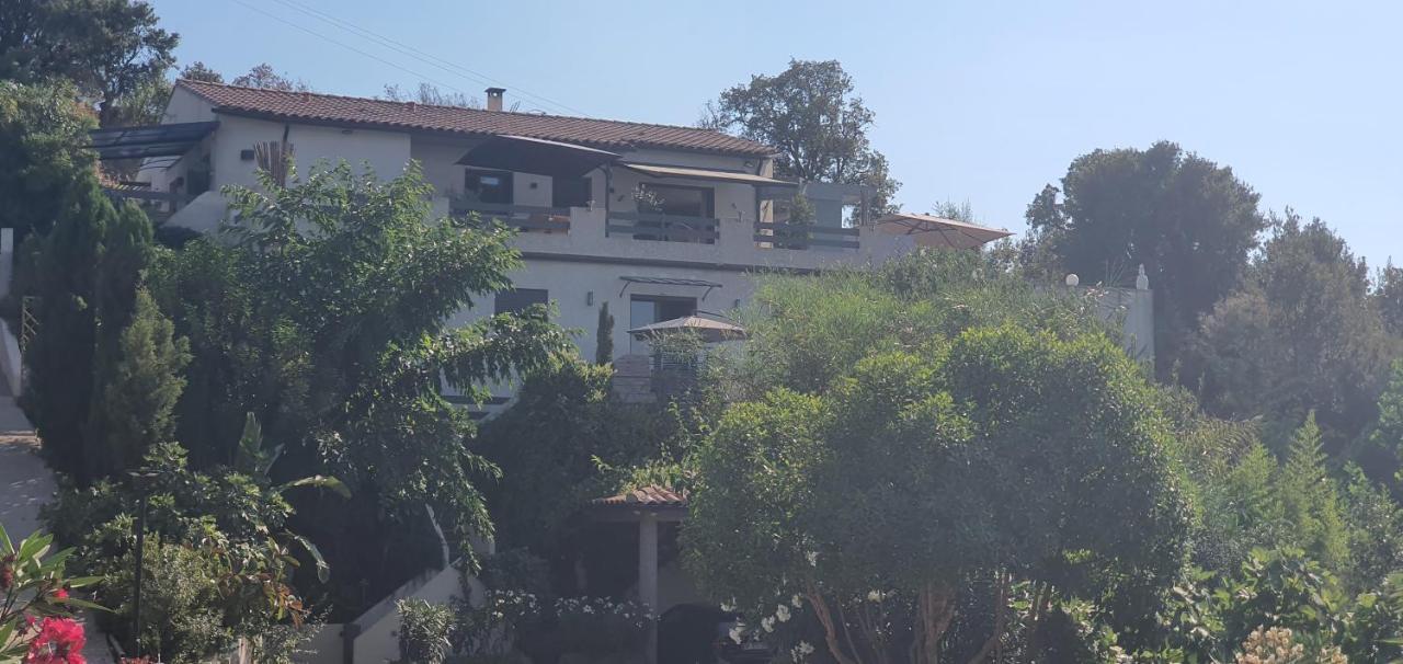 Appartement F2 Avec Terrasse De 35 M2 Bomorto - Porticcio Porticcio  Bagian luar foto